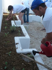 Community Service